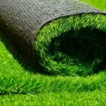 Grass Carpet